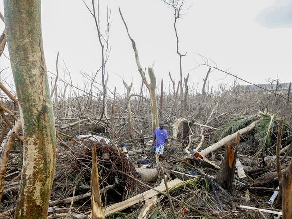 Wesley Joseph walks through fallen trees and debris