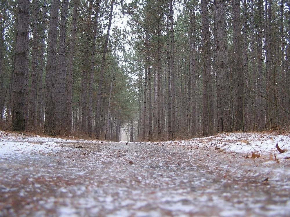Icy trail