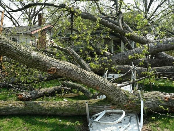 A downed tree sits atop a home and a wheelchair ramp