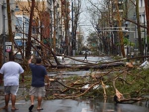 Men walk damaged trees after the passage of Hurricane Maria.