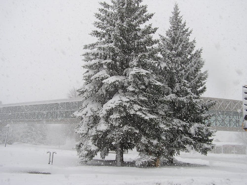 Snowstorm in the Red River valley