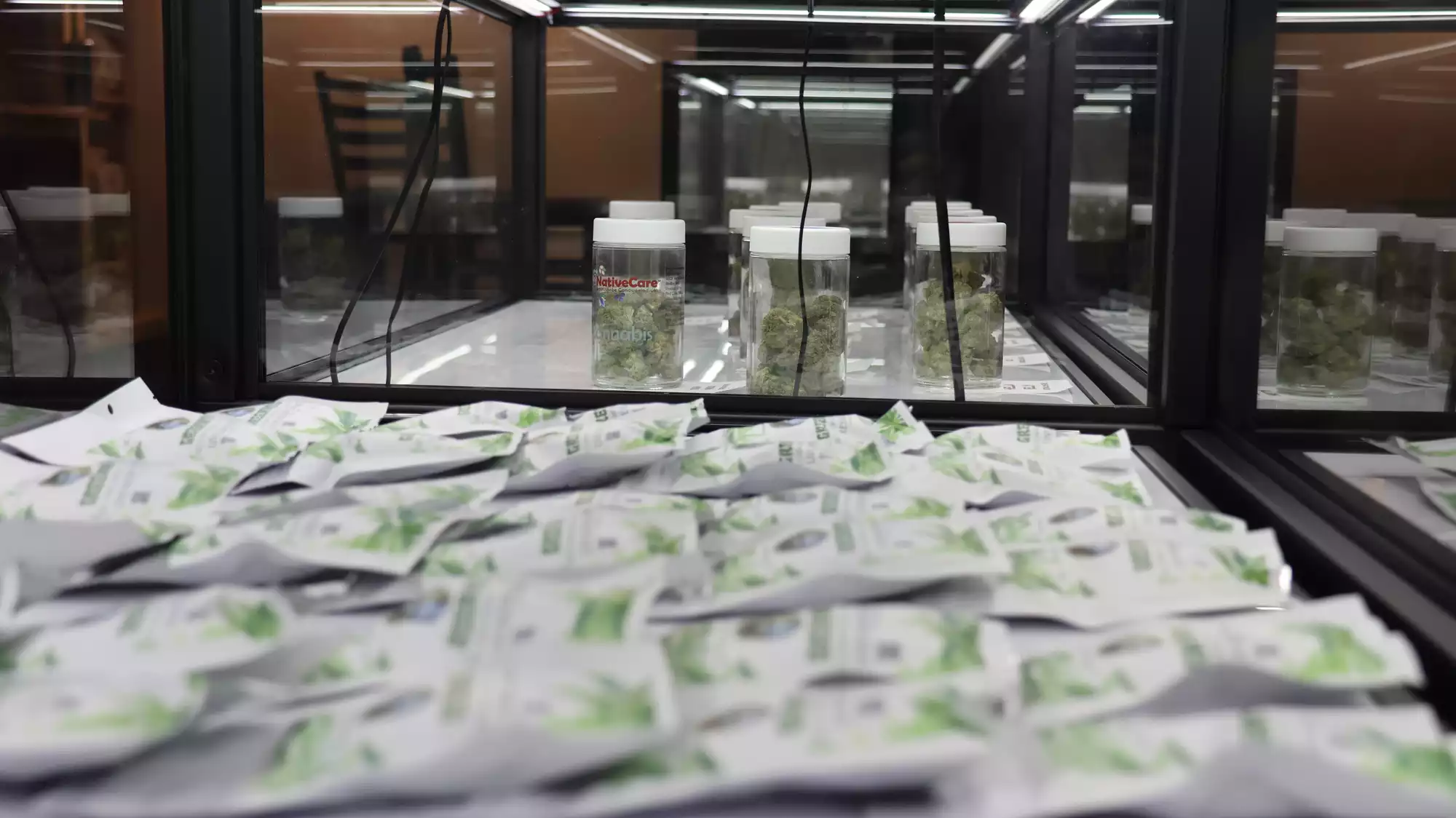 Sole GOP lawmaker on cannabis negotiating panel shares concerns about rollout - Vimarsana News