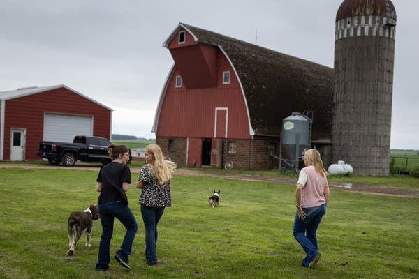 Three sisters walk on a farm