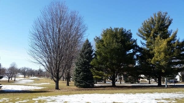 April in March; temps ramp up on Sunday