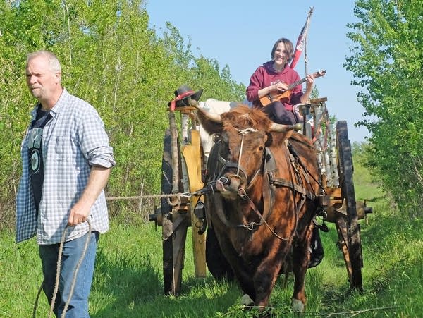 a man leads an ox down a trail