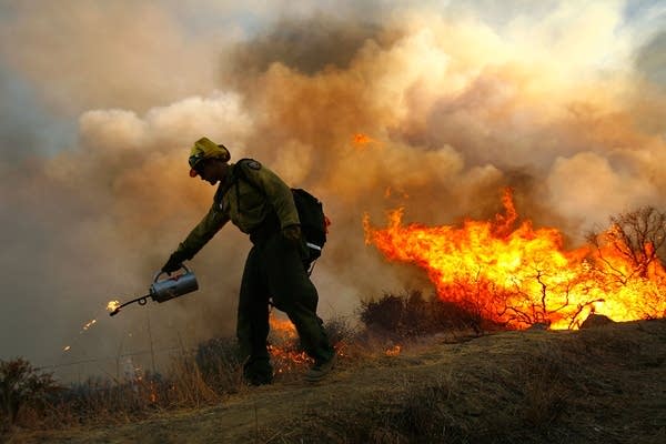 Forest Service Hot Shots