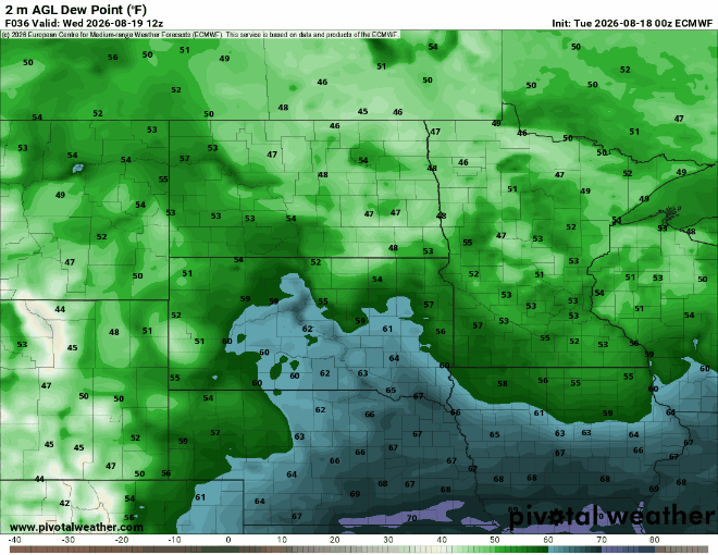 dews_WF