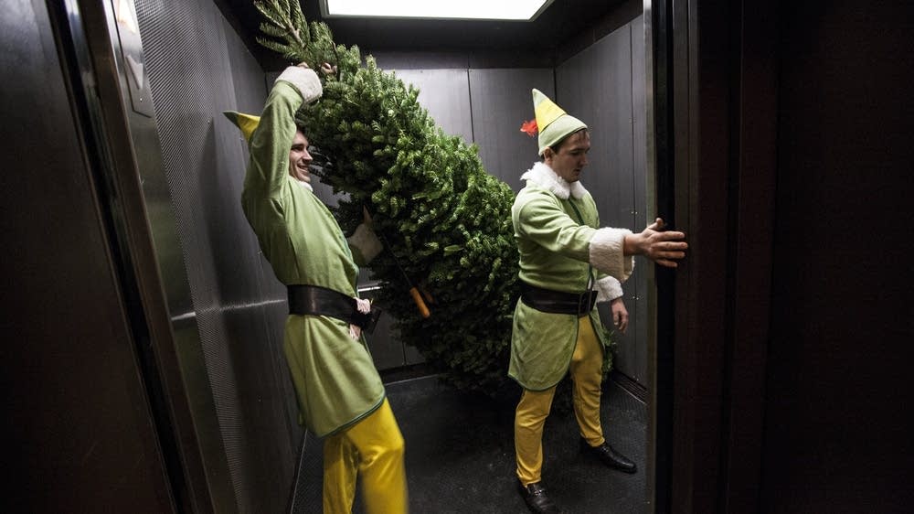 Greenest way to get rid of your Christmas tree? MPR News