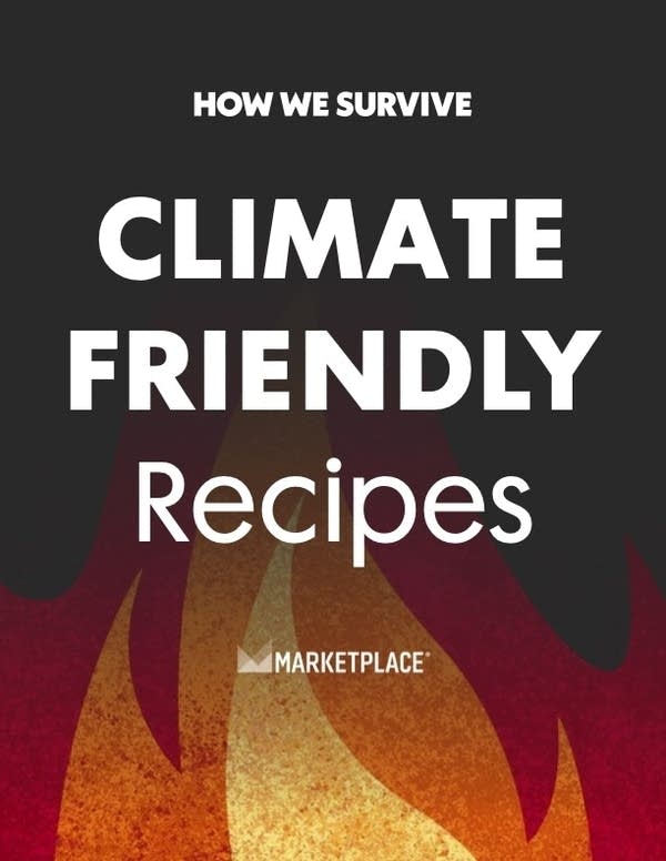 The cover art to How We Survive's e-book "Climate-Friendly Recipes"