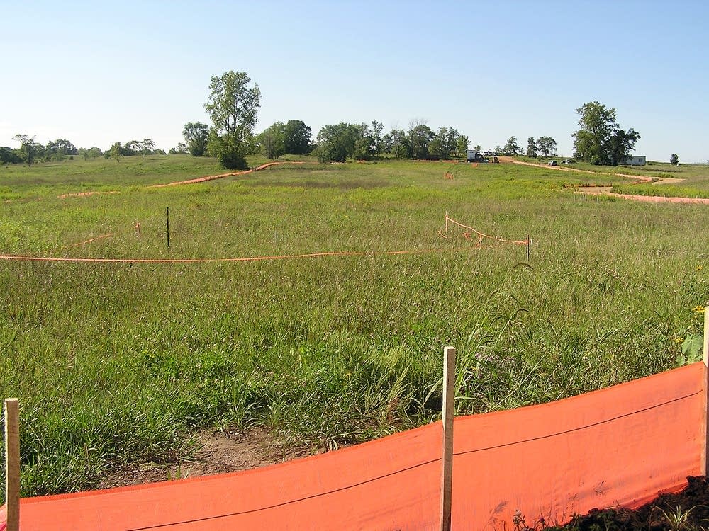 Cleanup area