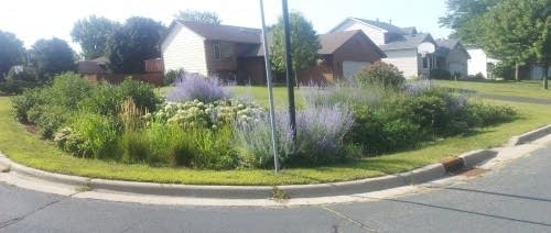 Rain-Garden-Panorama-500x212