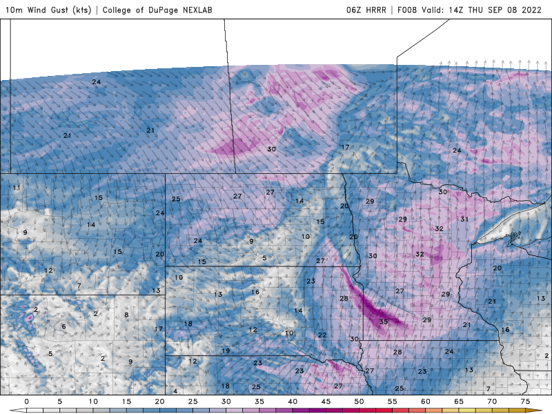 winds THU