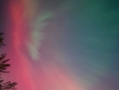 aurora in shoreview 