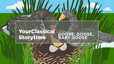 YourClassical Storytime - Goose, Goose, Baby Goose