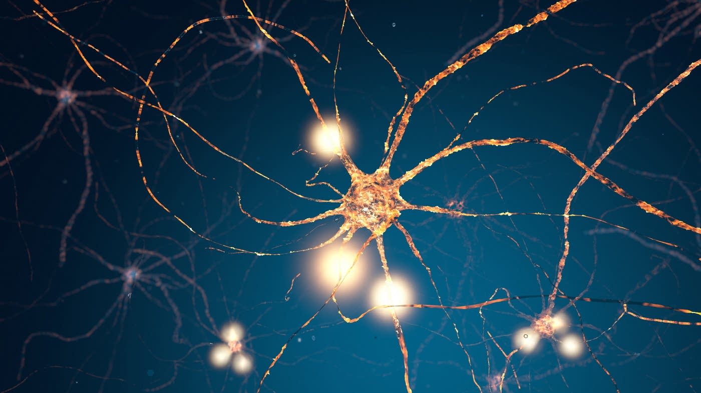 The nerve! Electricity in our bodies Brains On