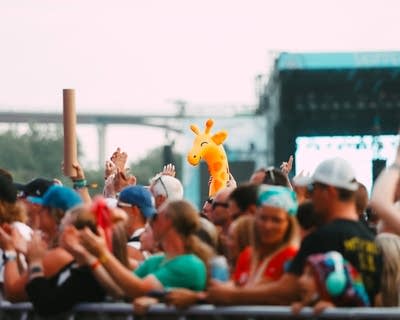 Music fans clap and cheer at an outdoor concert