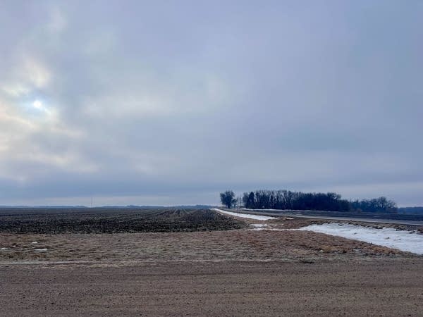 A road with trees, the ground covered in snow.