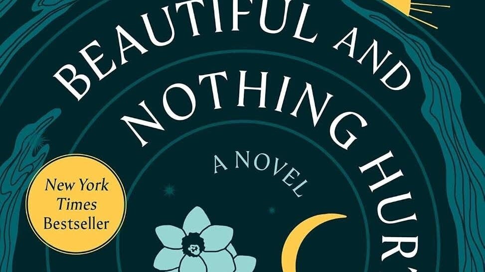 Bluebird Books recommends ‘Everything Was Beautiful and Nothing Hurt’ Ben Reeves Bluebird Books recommends ‘Everything Was Beautiful and Nothing Hurt’ Ben Reeves