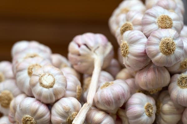 Garlic on display during a festival in England