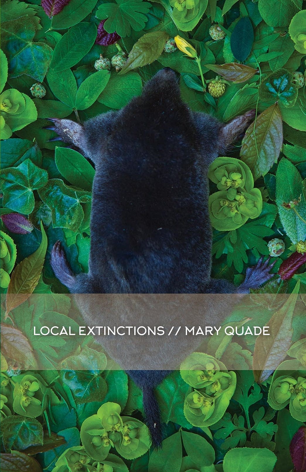 'Local Extinctions' by Mary Quade
