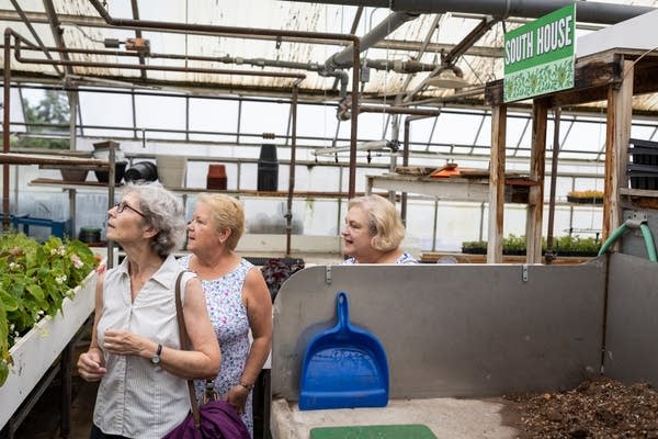 Three sisters walk through a greenhouse