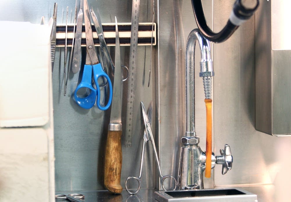 Tissue preparation tools