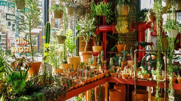 How a Brooklyn plant shop deals with rising costs, pandemic shifts