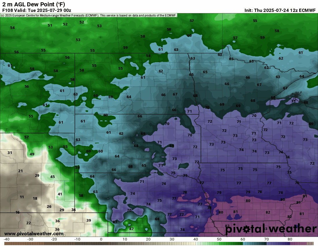 European ECMWF model dew point output