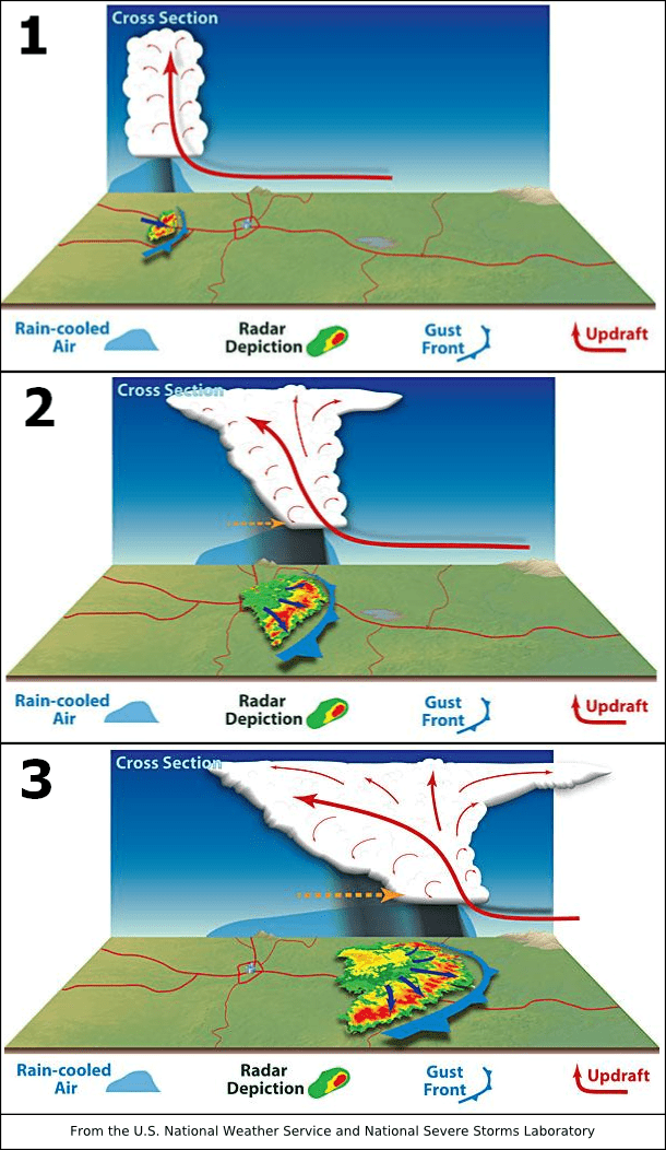 Derecho_development
