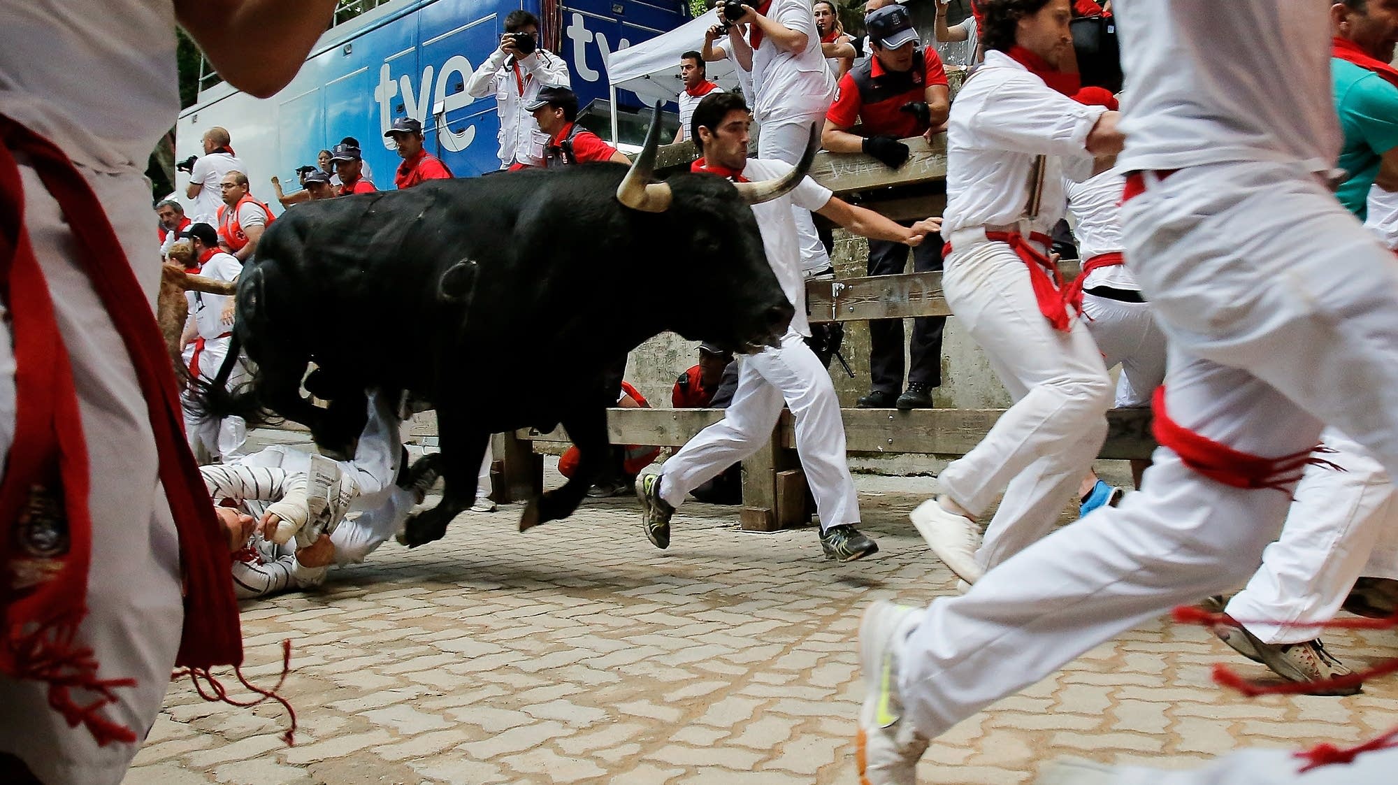 Canterbury Park passes on Great Bull Run MPR News