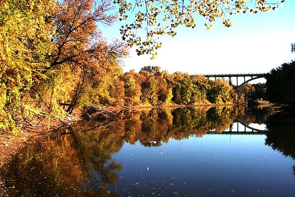 Fall colors at