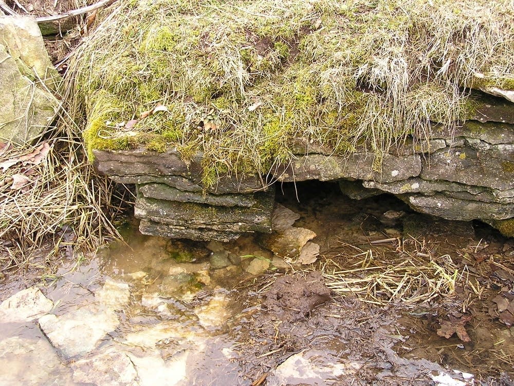 Springwater