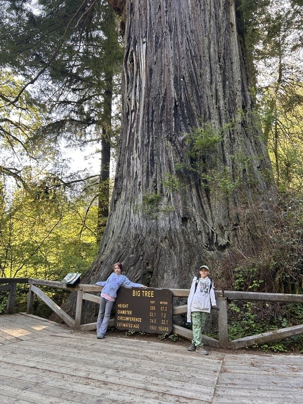 Two people posing by tree