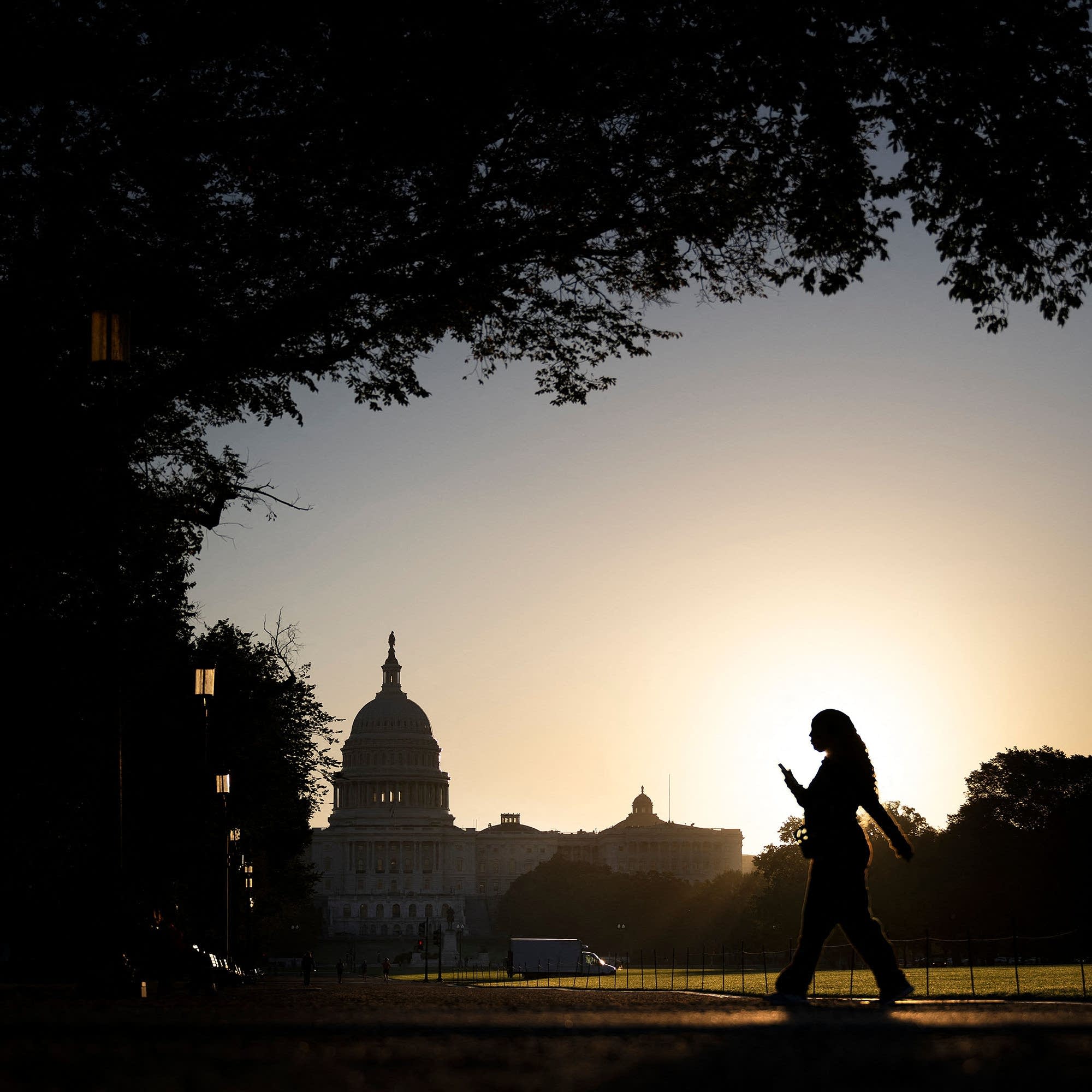A shutdown, layoffs, and yet the market keeps surging