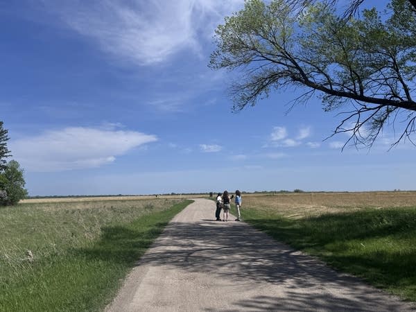 Three people walk along a path surrounded by prairie grass. 