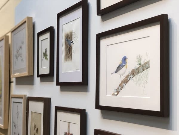 Botanical art displayed at the Hill House depict trees and wildlife.