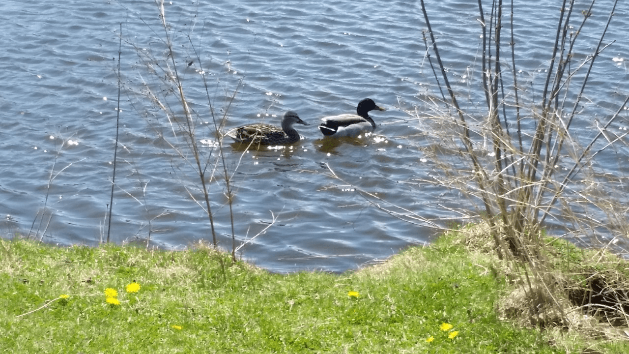 A bright Sunday, cooler and not as windy