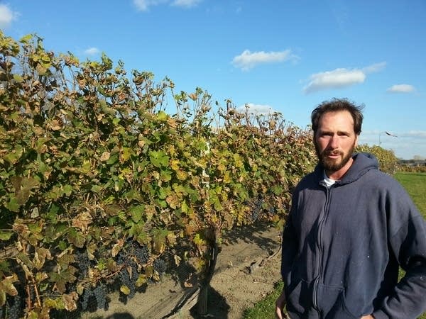 MN Arboretum HRC John Thull w vines