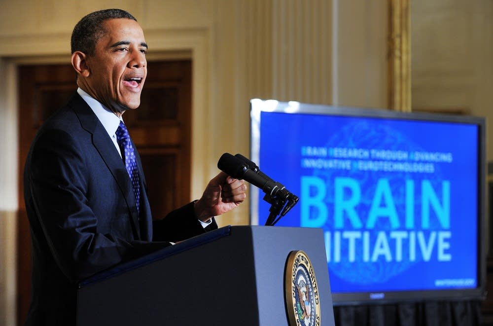 BRAIN Initiative