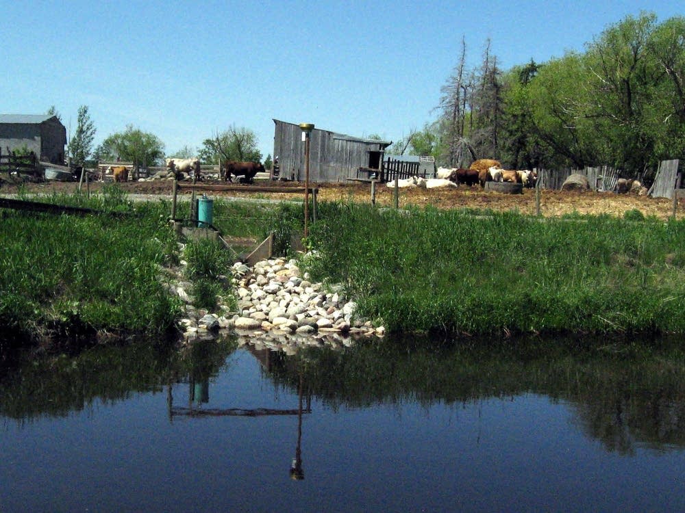 Collection pond