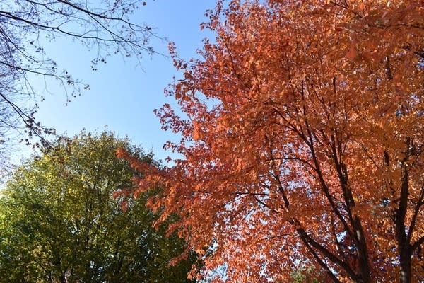 Weekend weather: Above-normal temps, low wind, dry