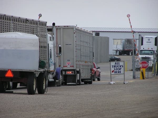 Livestock trucks