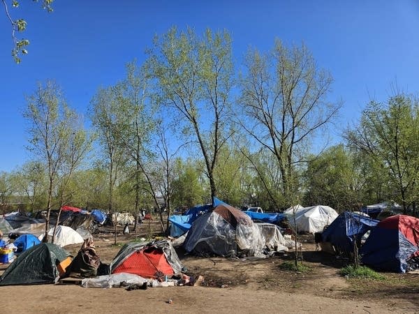 Tents among trees and dirt