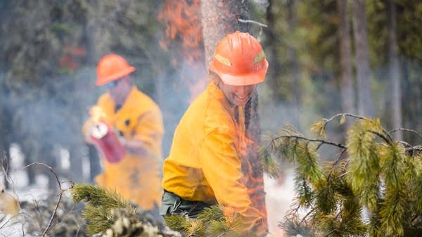"We're seeing a big shift across the United States — but specifically in the western United States — on how we understand and live with and interact with wildland fire," said Jessica Davison.