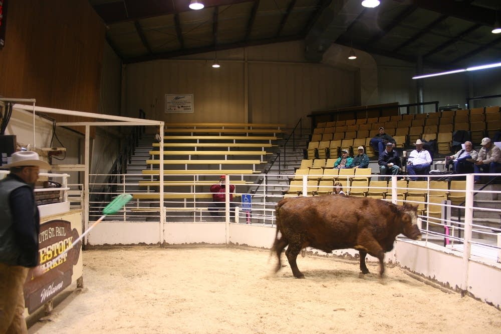 120 year tradition ends in South St. Paul MPR News