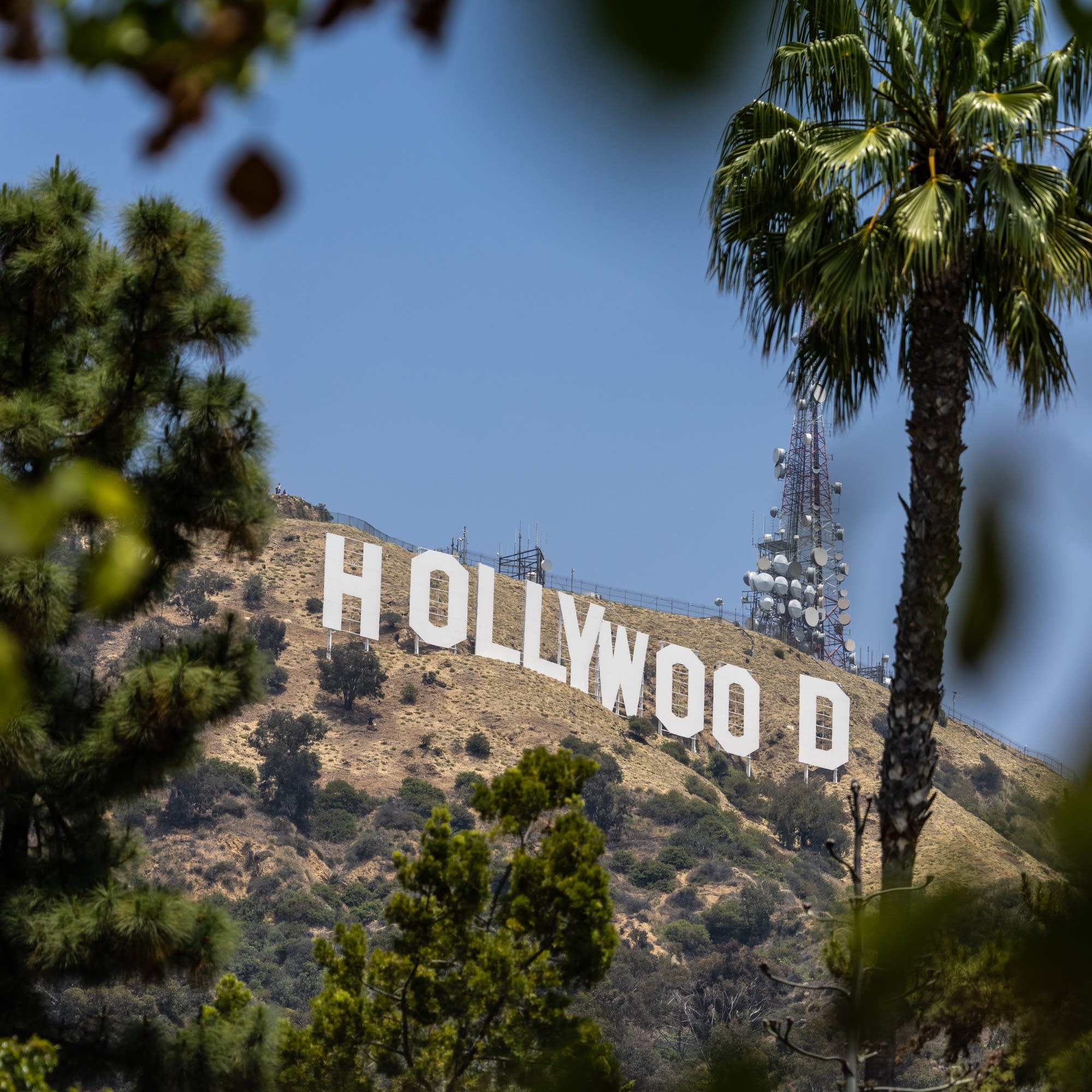 Can Hollywood make a comeback?