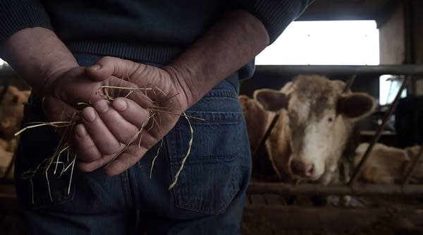 Do you only eat beef labeled "grass fed"?