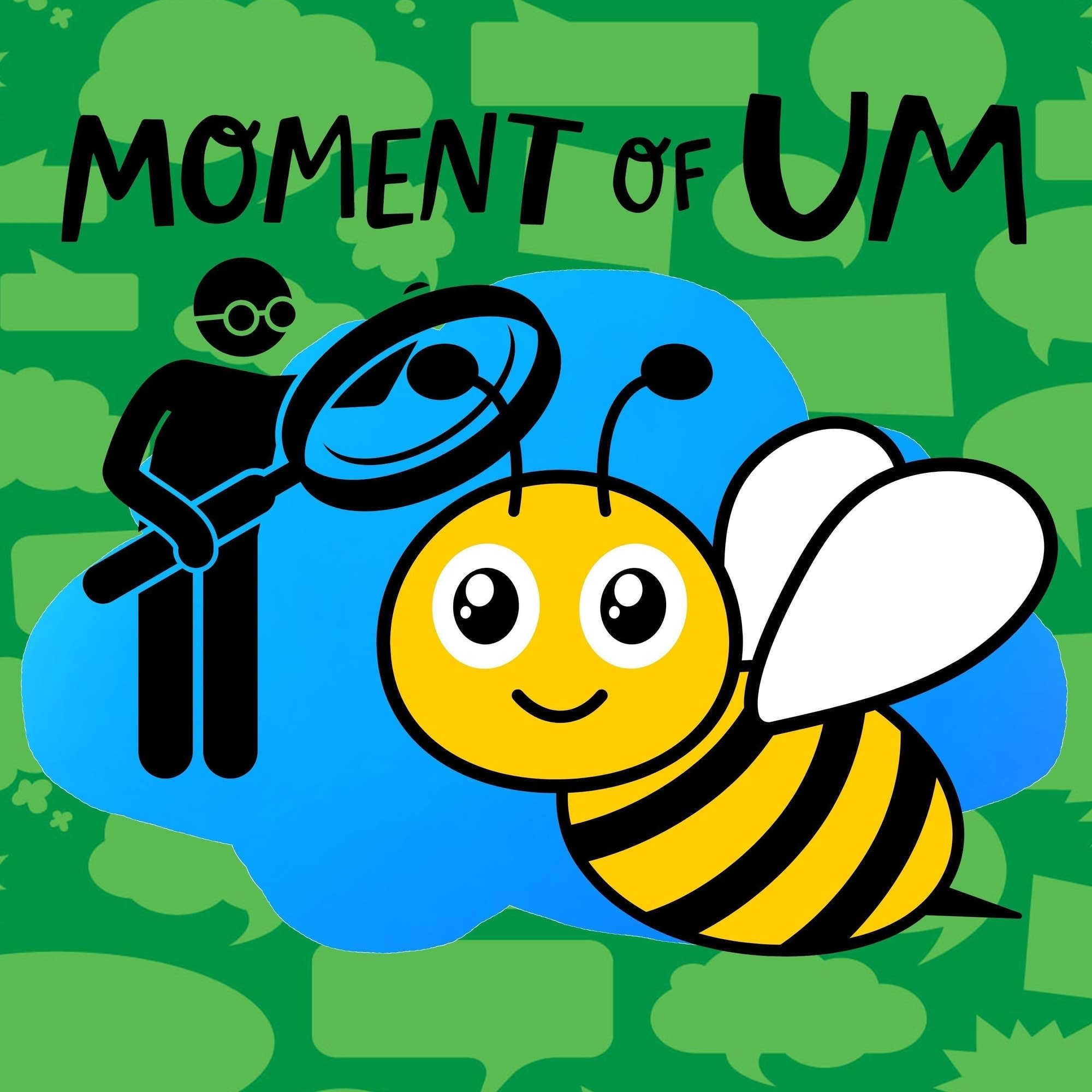 Moment Of Um
