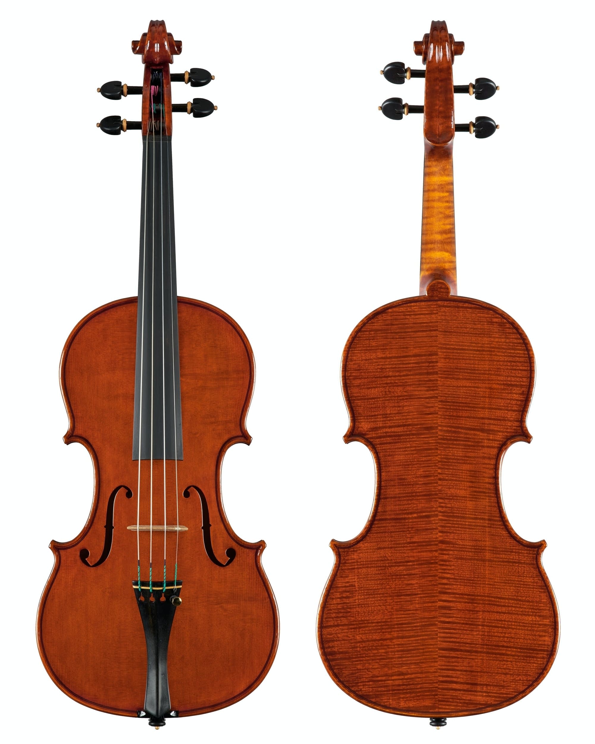 Violin