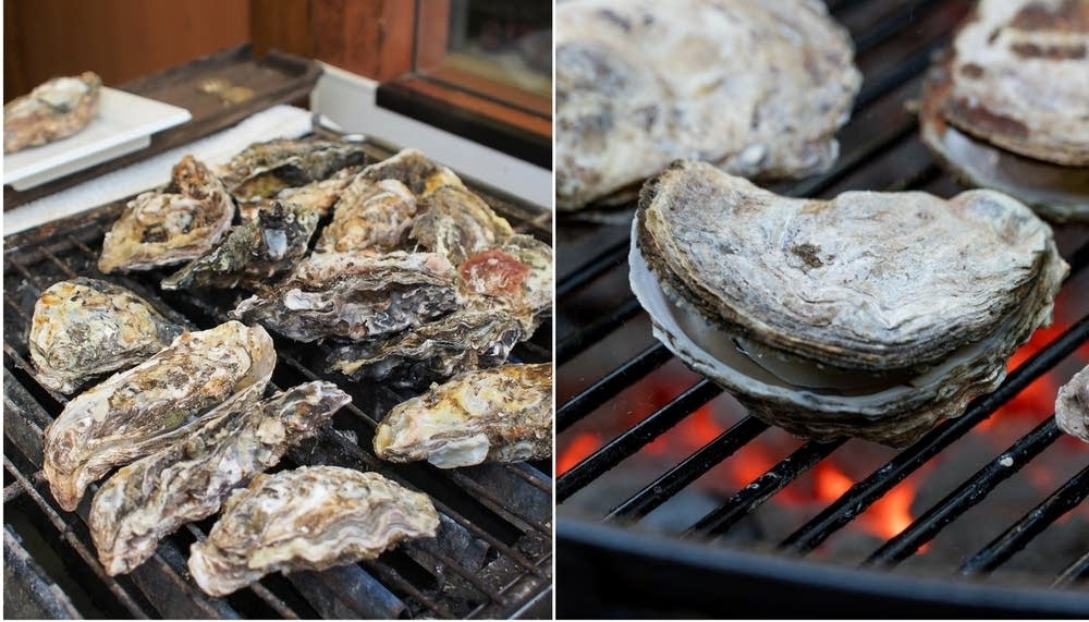 An oyster primer from America's Test Kitchen The Splendid Table